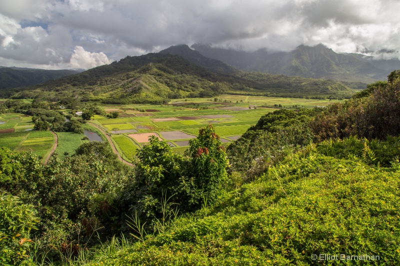 Kauai 40