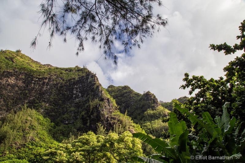 Kauai 37