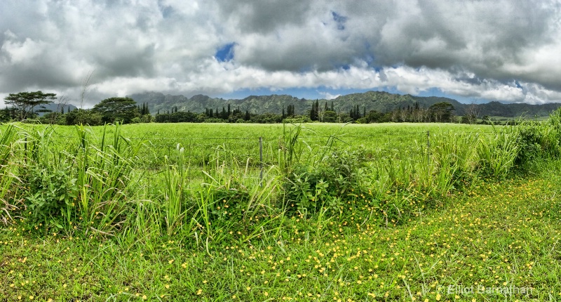 Kauai 37