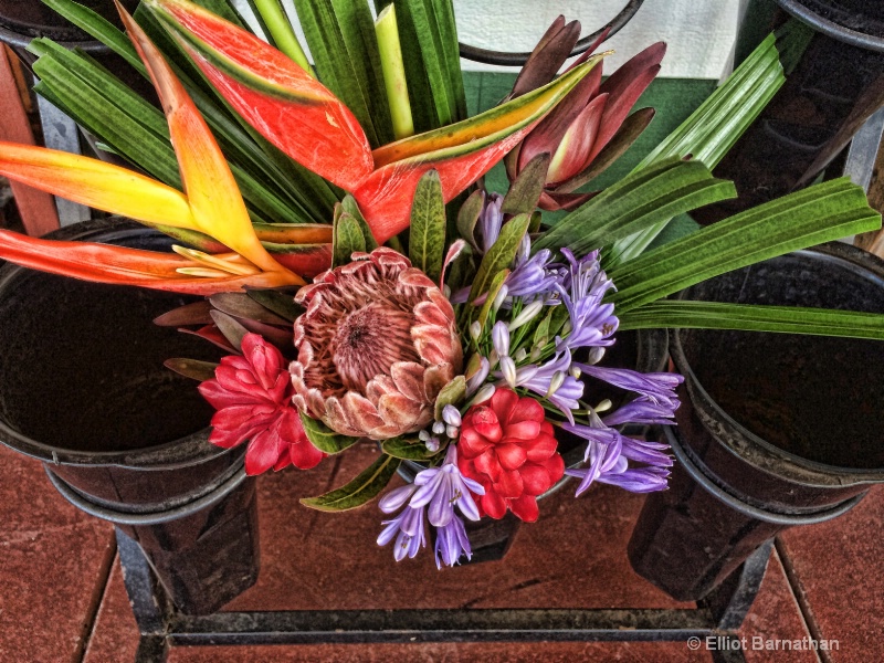 Hawaiian Flowers 17