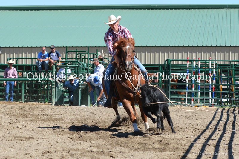 dawson zaharias ujra 2014 9