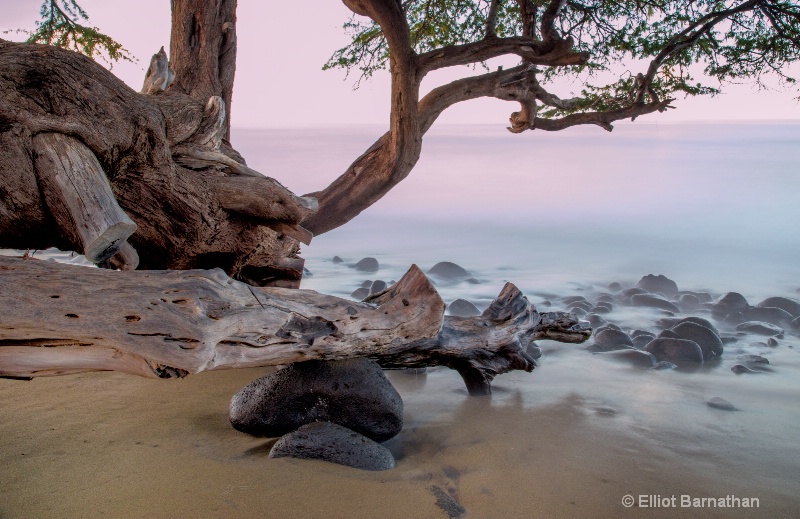 Maui Seascape