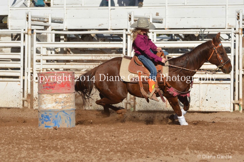 birklee jones jr high nephi 2014 2