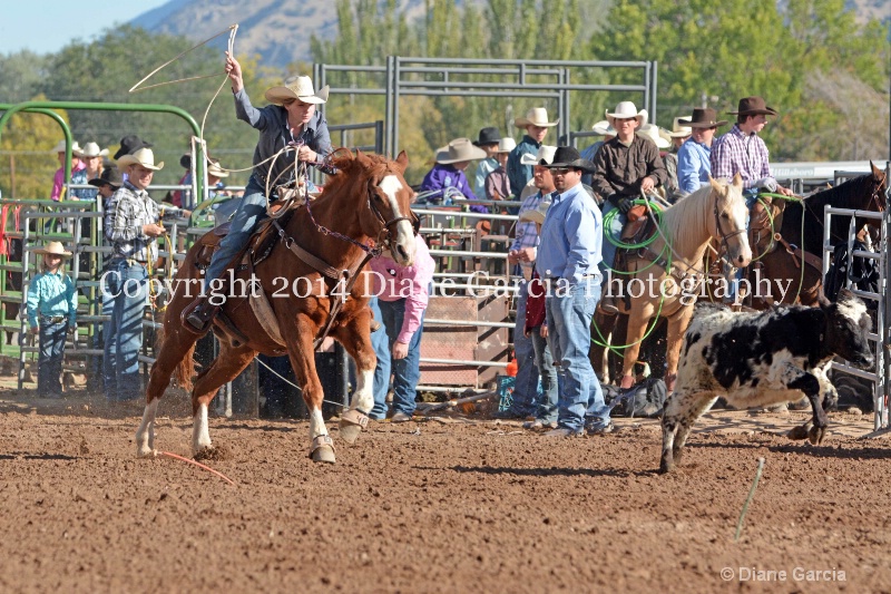 amy mason jr high nephi 2014 12