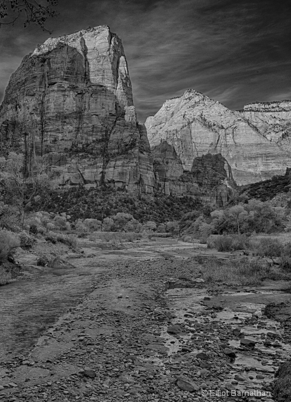 Zion BW 17