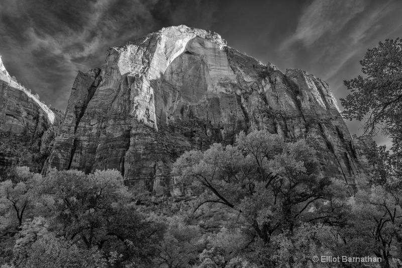 Zion BW 15