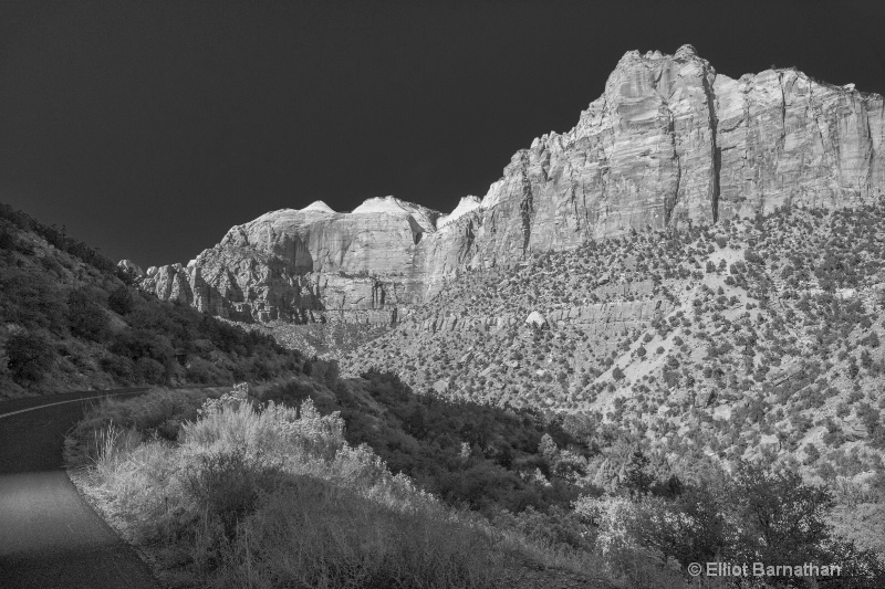 Zion BW 9