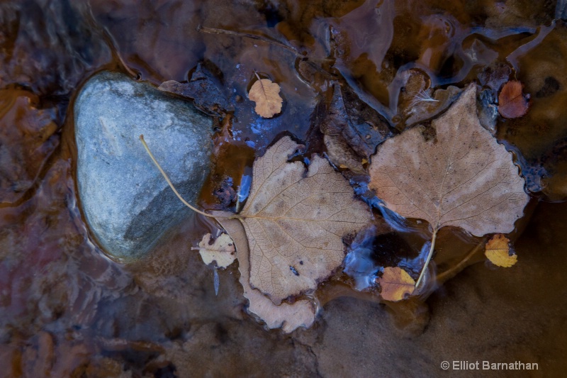 Zion Patterns 18