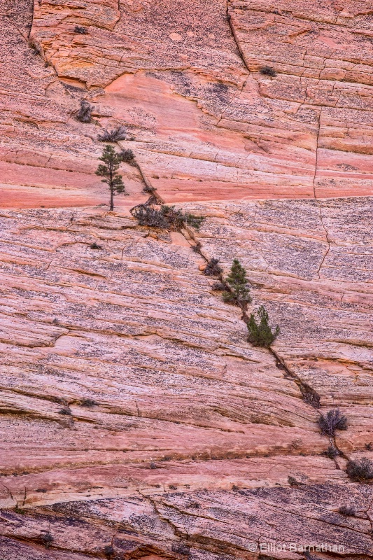 Zion Patterns 3