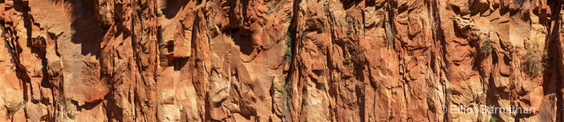 Zion Patterns 51