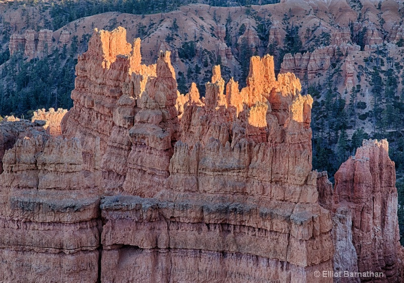 Bryce Canyon 13