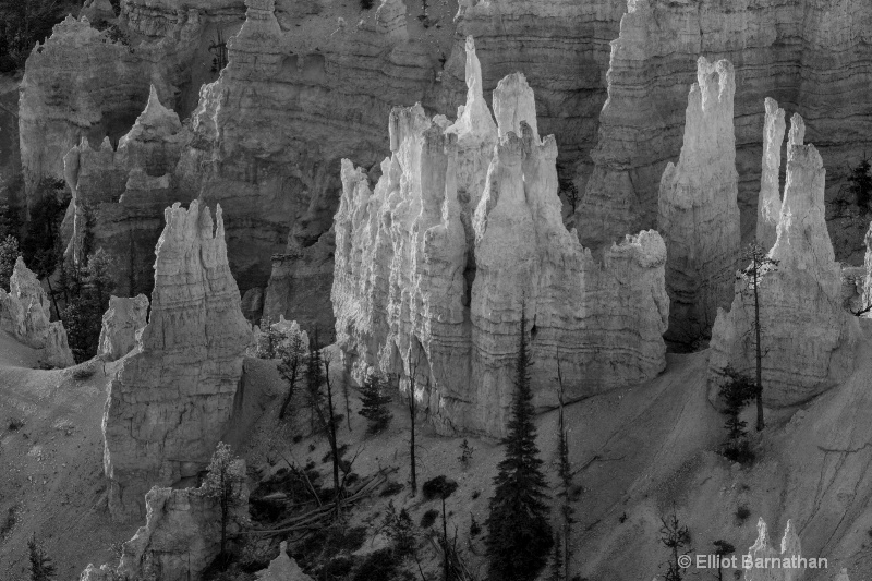 Bryce BW 5