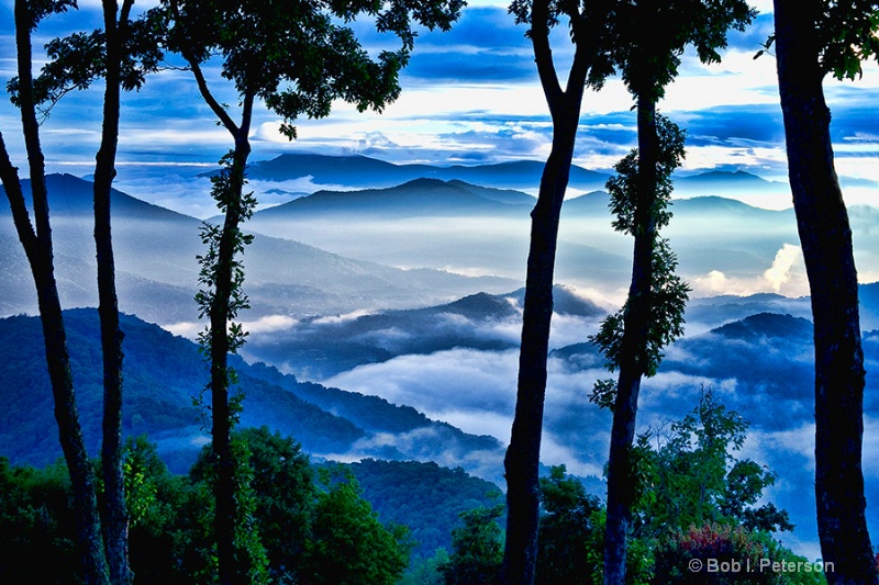 the Blue Ridge Mtns thru the trees