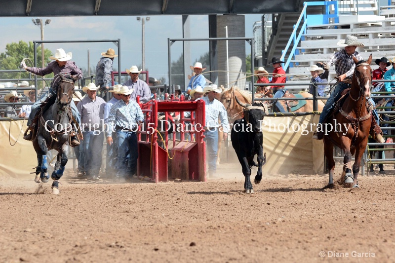 sanderson   nielson jr high rodeo nephi 2015 1