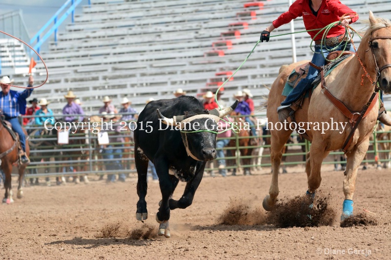 rindlisbacher   peterson jr high rodeo nephi 2015 