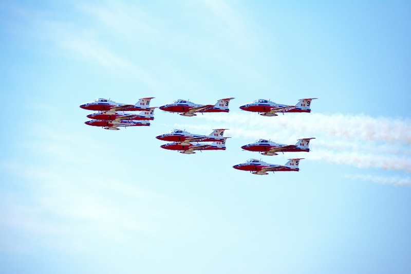 Flight of the Snowbirds