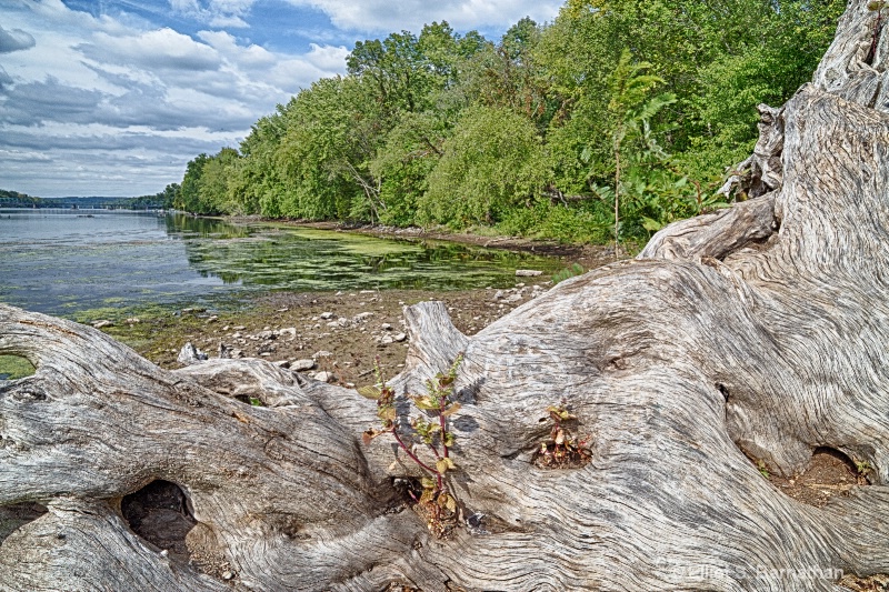 Delaware River 5