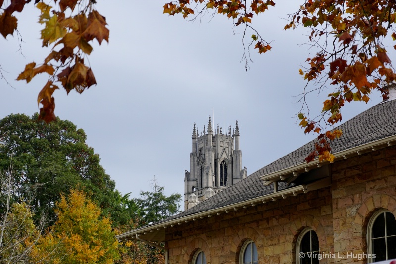 Sewanee 3