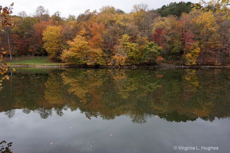 Tracy Lake Reflection