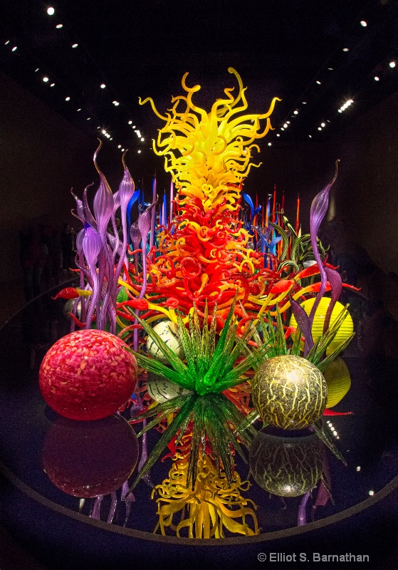 Chihuly 5