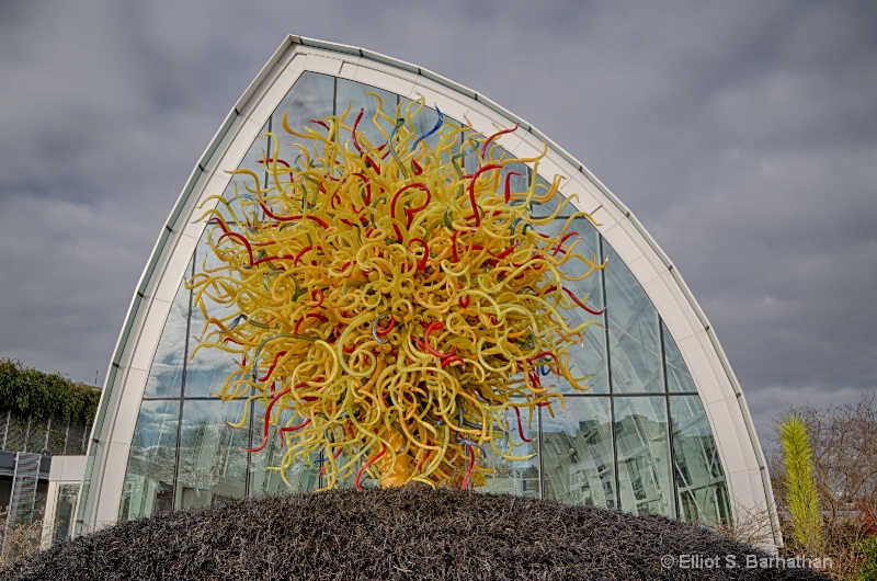 Chihuly 2