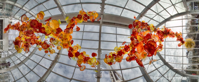 Chihuly 1