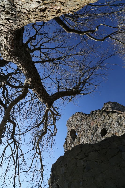 Wood and Stone