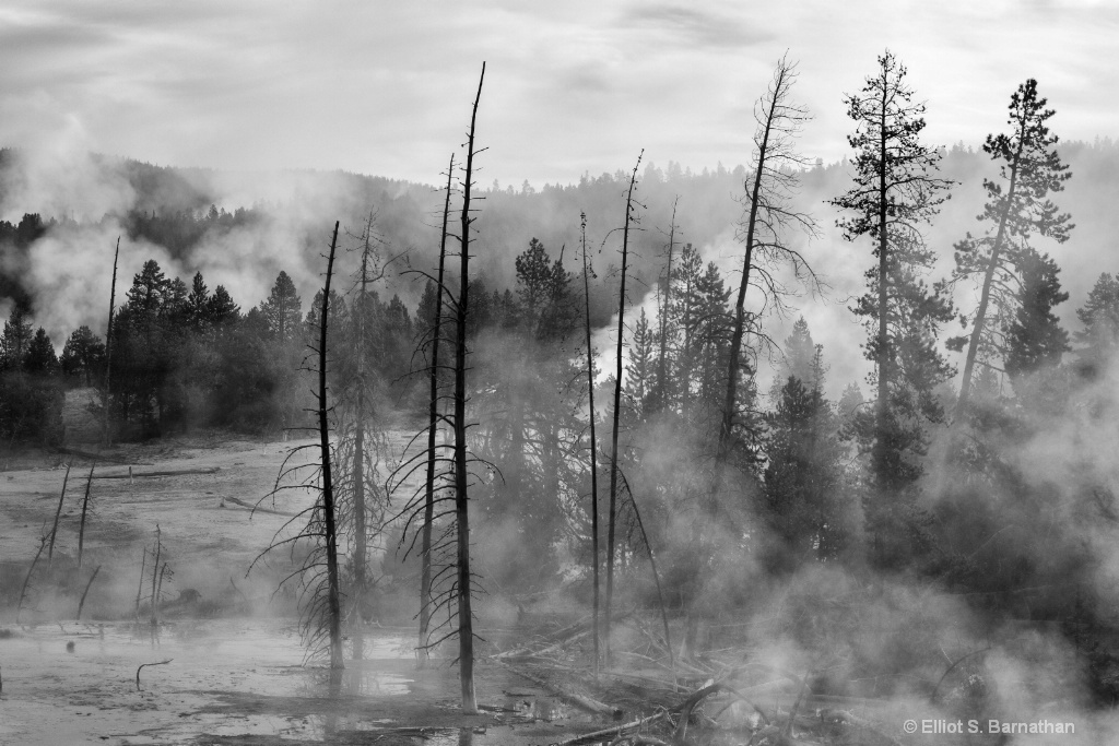 Yellowstone 110