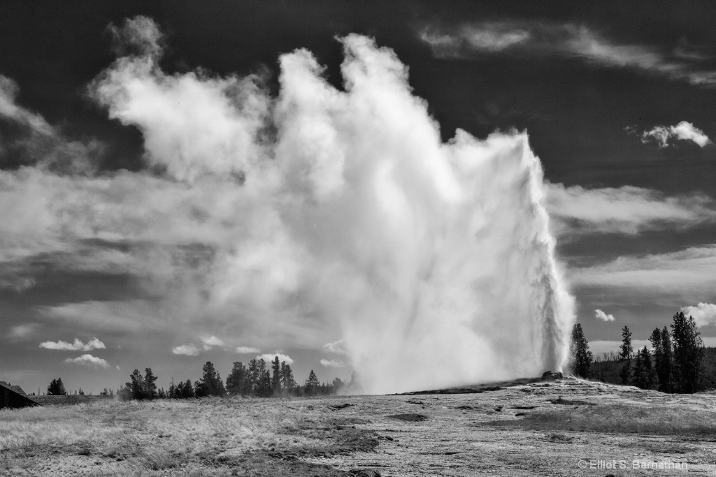 Yellowstone 106