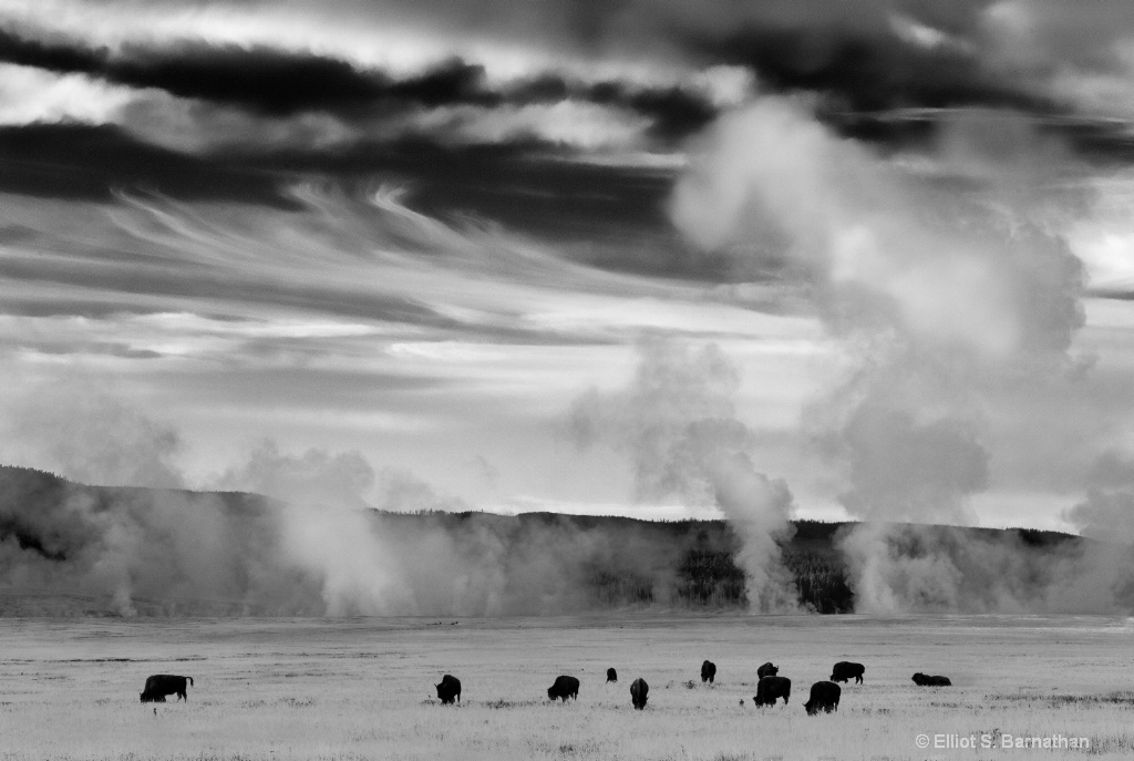 Yellowstone 104