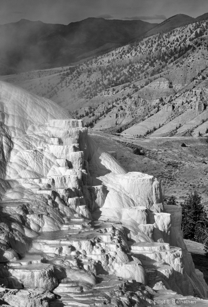 Yellowstone 100