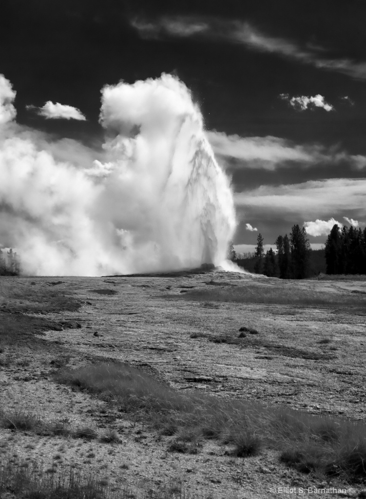 Yellowstone 94