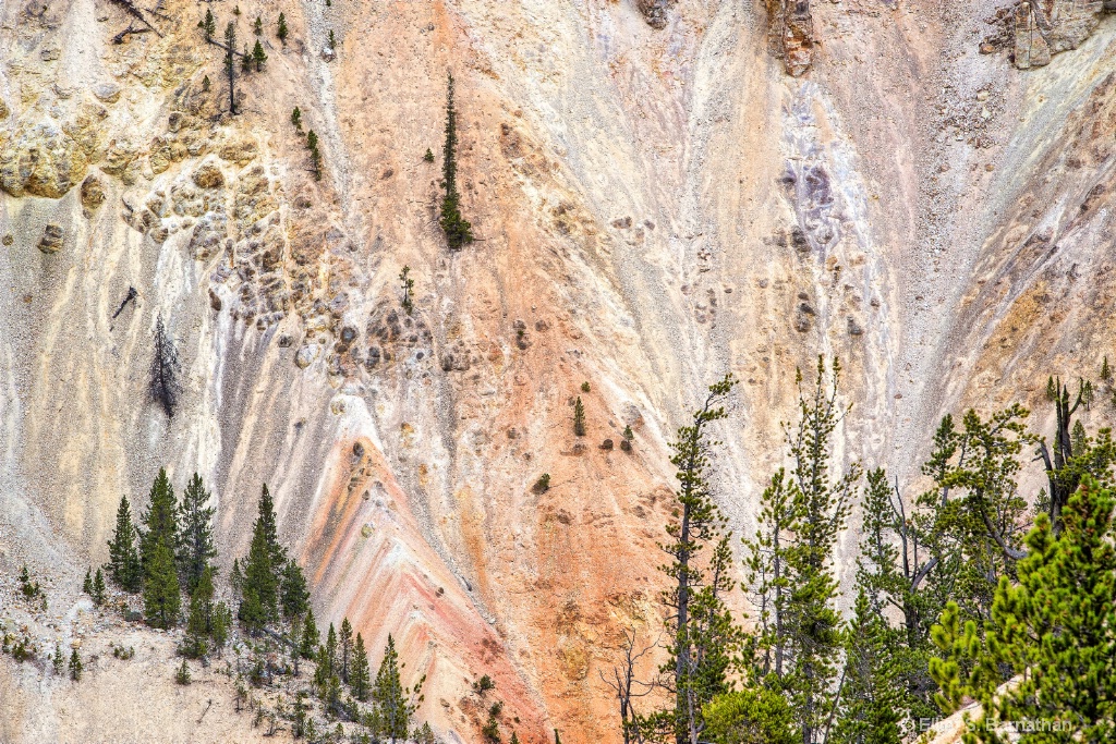 Yellowstone 70