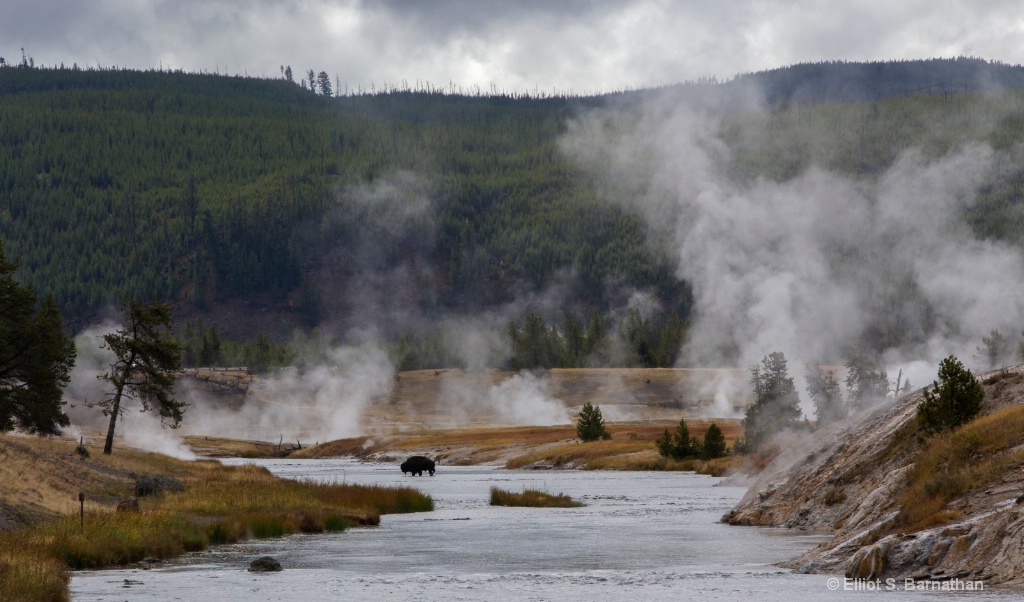 Yellowstone 60