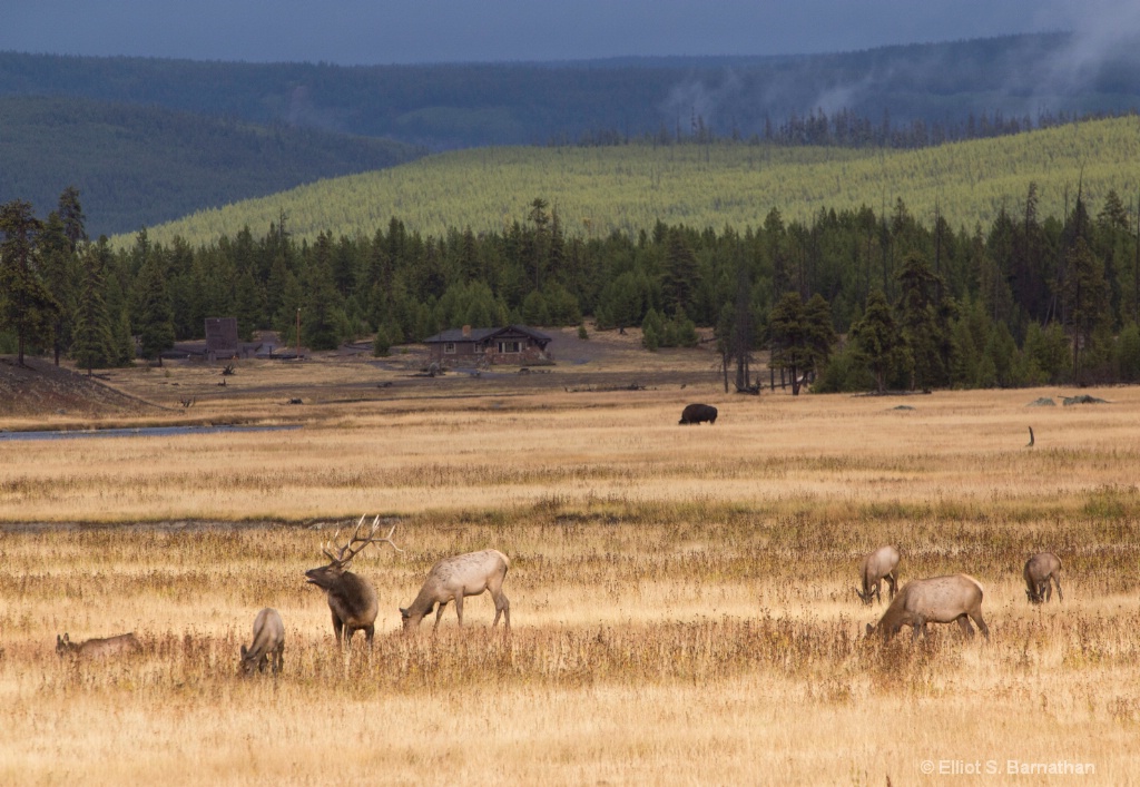 Yellowstone 58