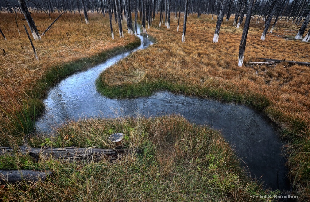 Yellowstone 16