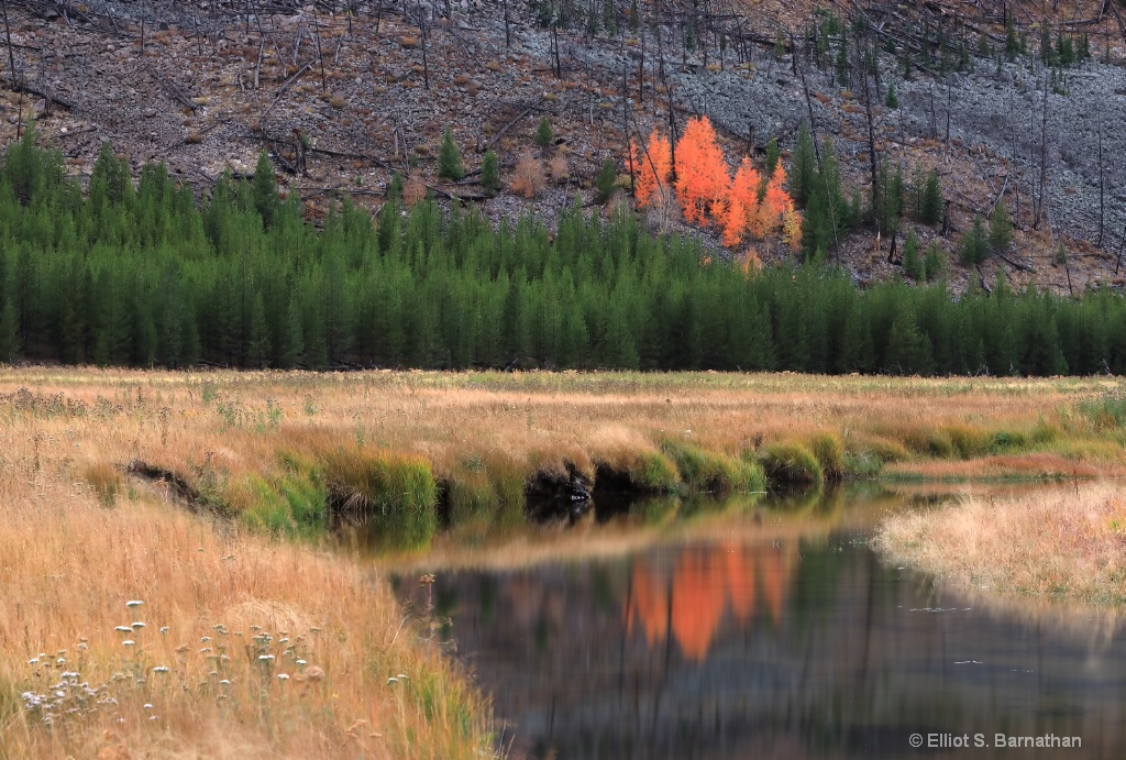 Yellowstone 14