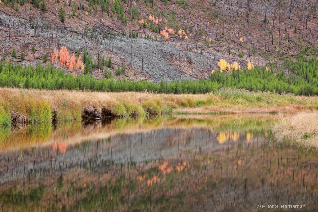 Yellowstone 13