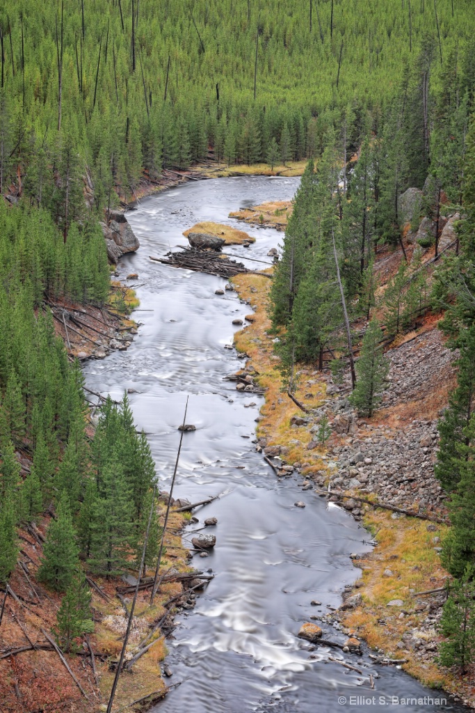 Yellowstone 11