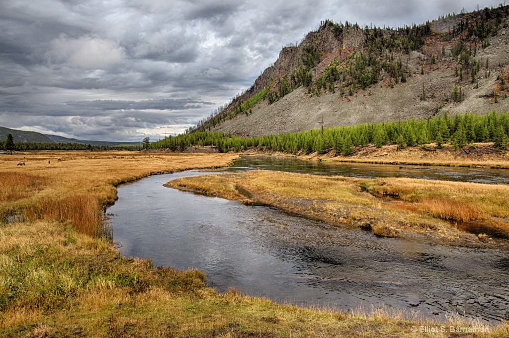 Yellowstone 7