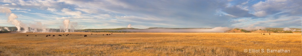 Yellowstone 6