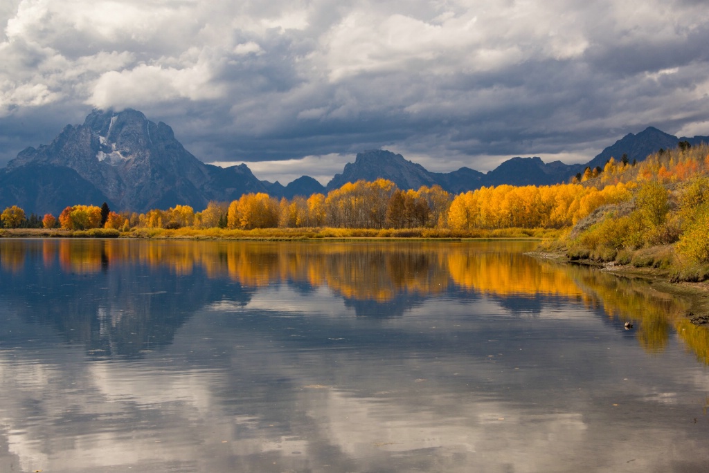 Oxbow Bend Reflection