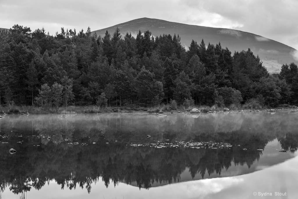 Cairngorms National Park Reflection