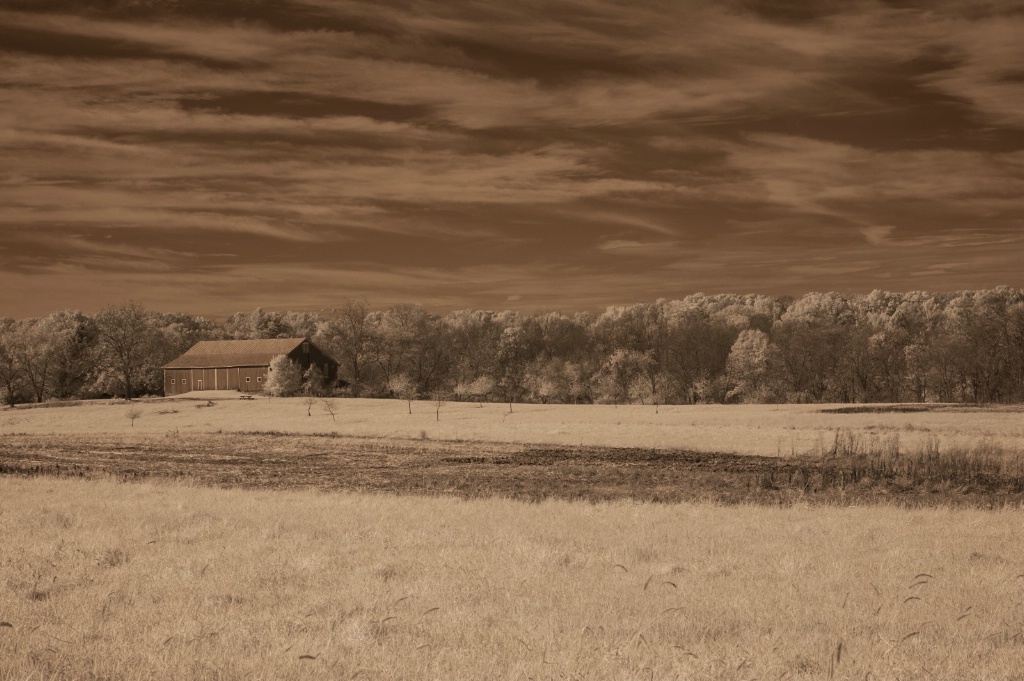 Infrared Barn