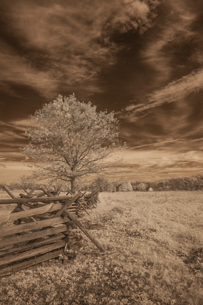 Gettysburg NMP - Fence in Infrared