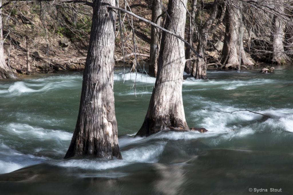 guadalupe river