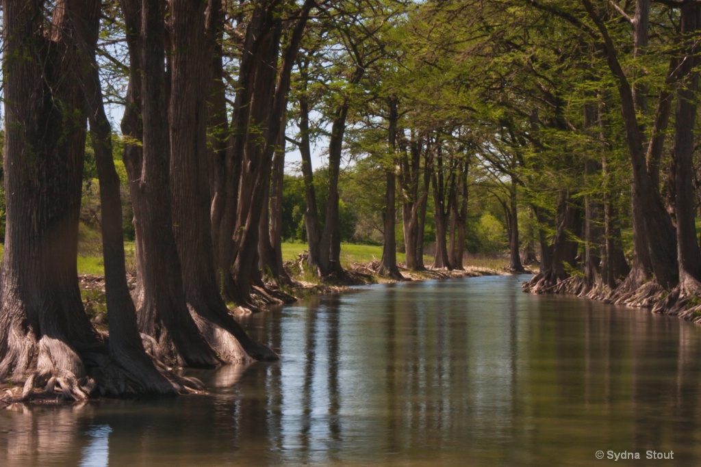 medina river