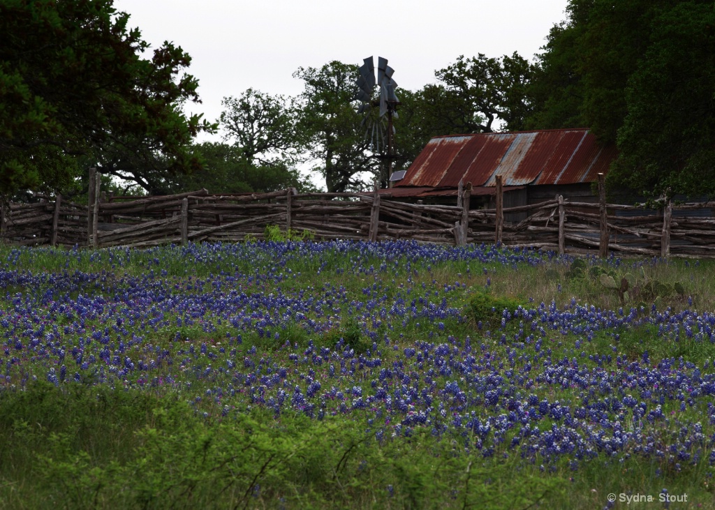 old barn