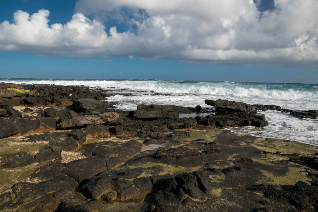 Rocky Green Sand Beach