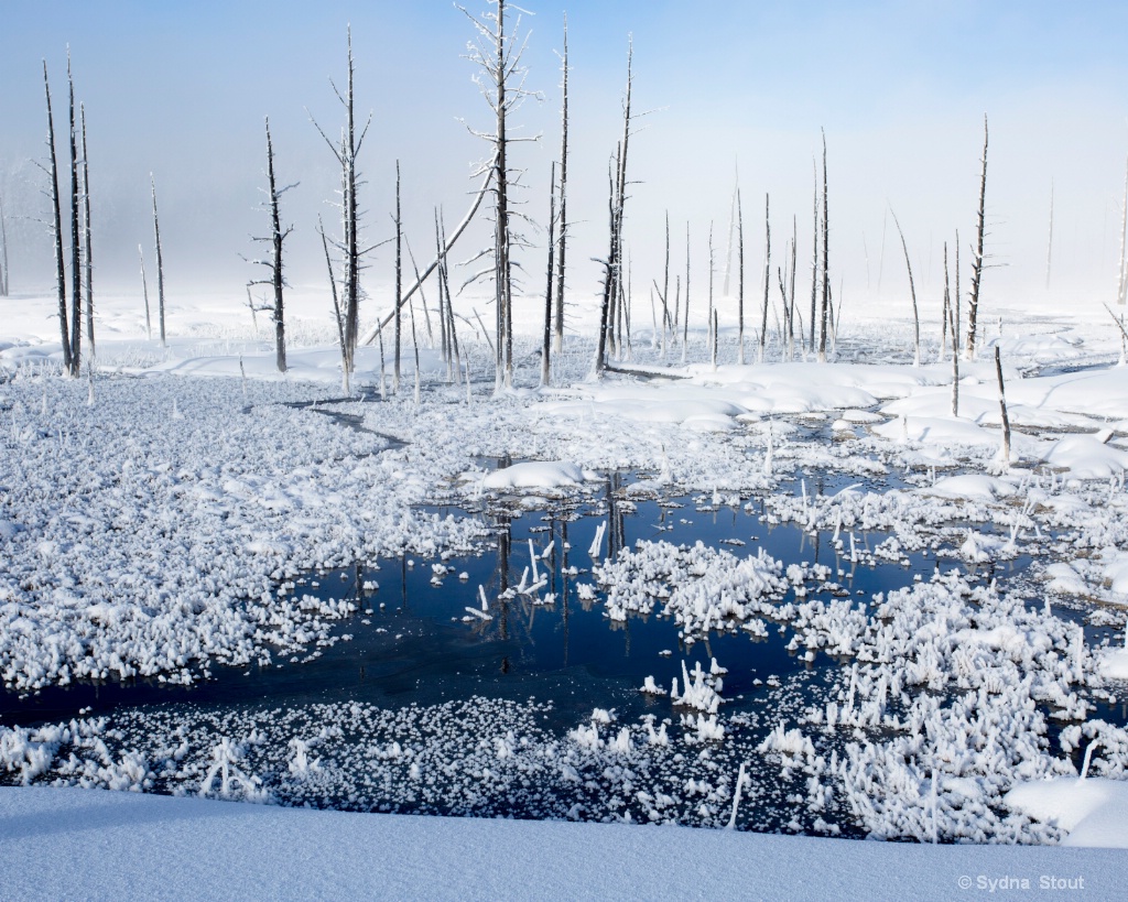 frozen pond